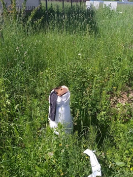 Дом