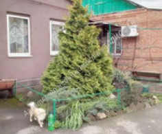 Дом