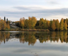 Участок, 11 соток
