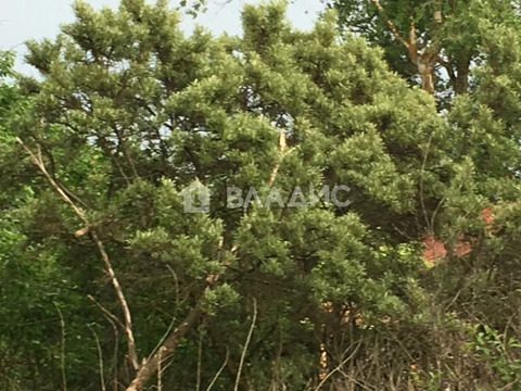 Участок, 11 соток