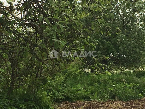 Участок, 11 соток