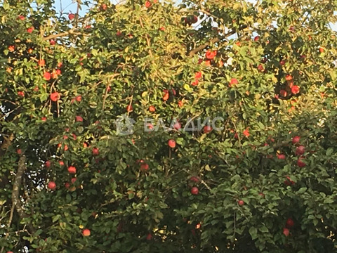 Участок, 11 соток