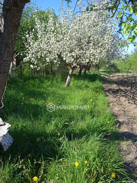 Участок, 8 соток