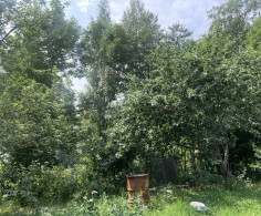 Участок, 6 соток
