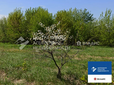 Участок, 8 соток