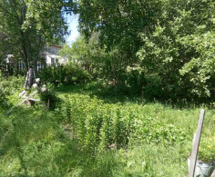 Участок, 15 соток
