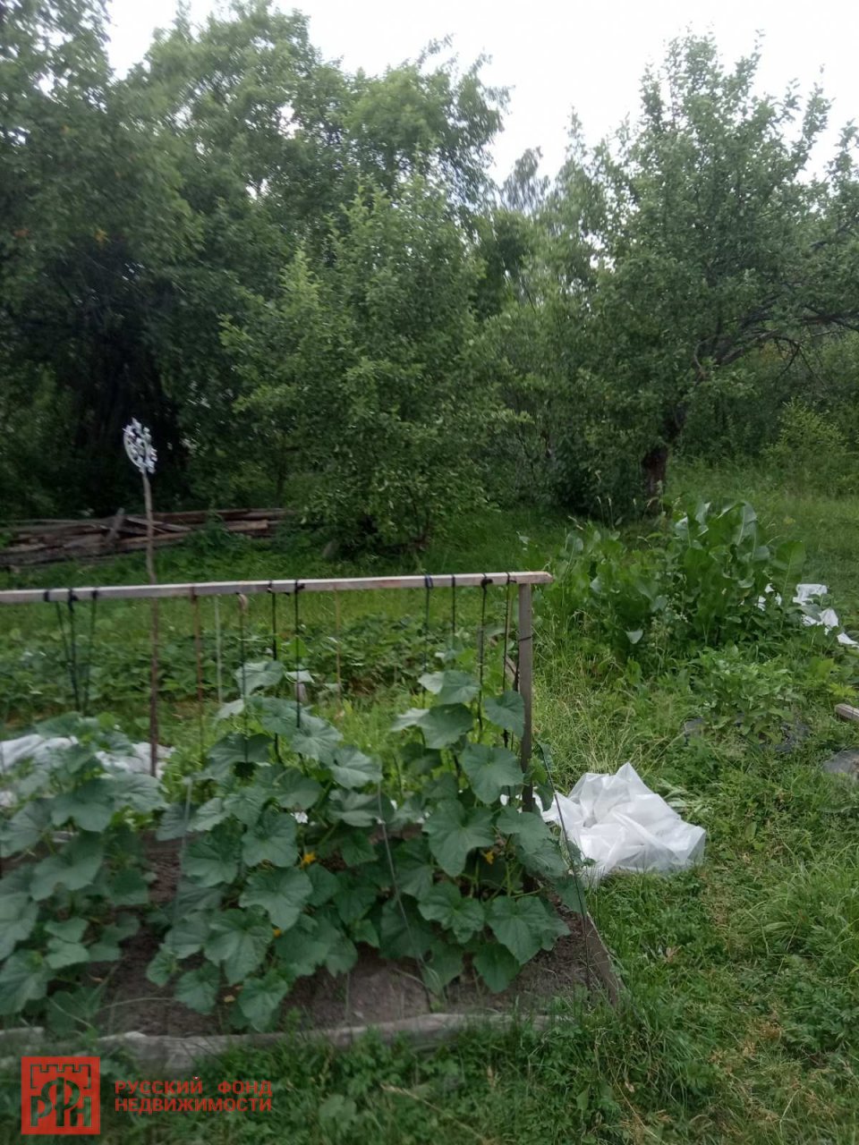 Участок, 15 соток