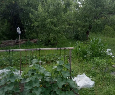 Участок, 15 соток