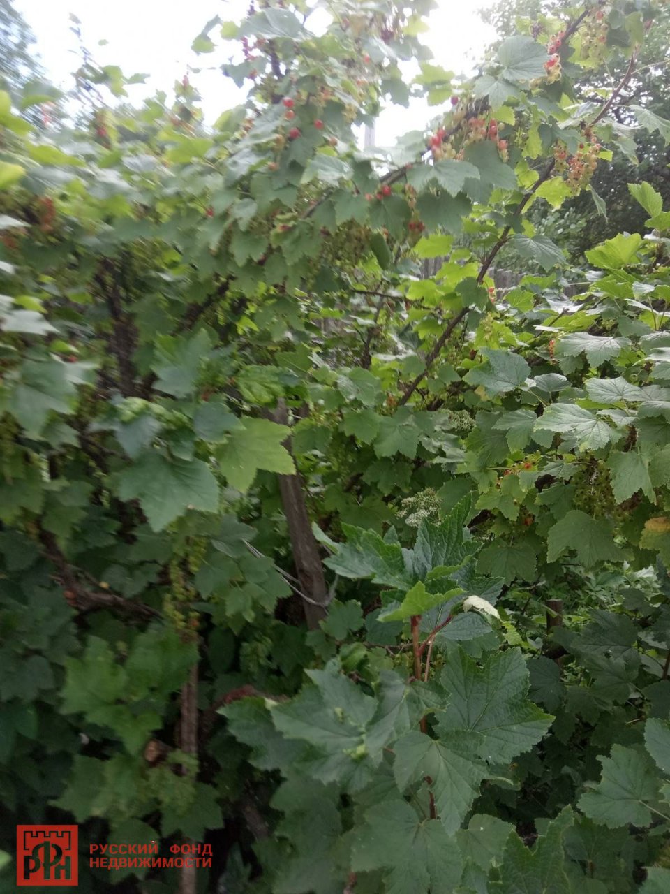 Участок, 15 соток
