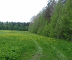Участок, 360 соток