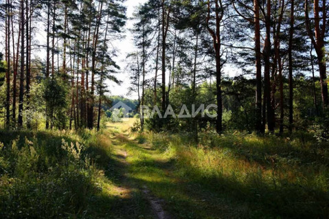 Участок, 446 соток