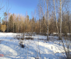 Участок, 15 соток