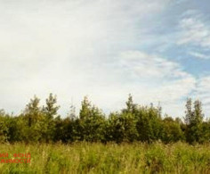 Участок, 9 соток