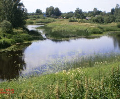 Участок, 11 соток