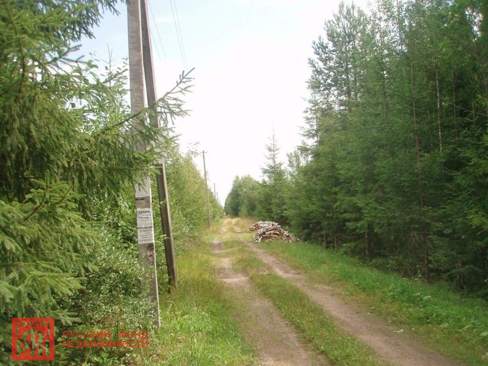 Участок, 12 соток