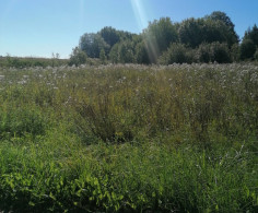 Участок, 10 соток