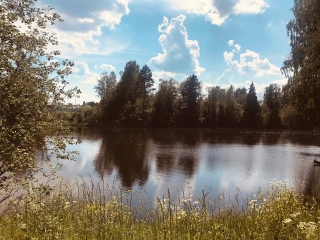Участок, 173 сотки