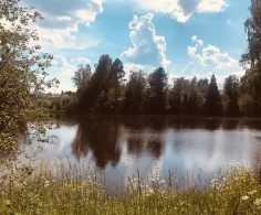 Участок, 173 сотки
