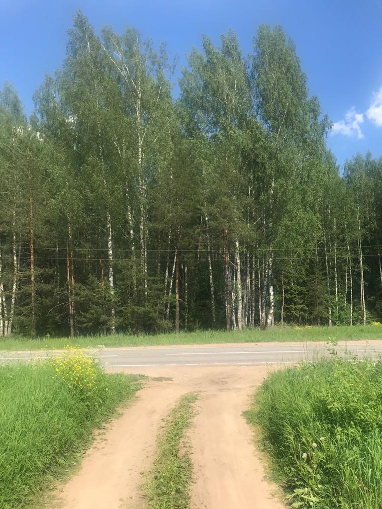 Участок, 173 сотки