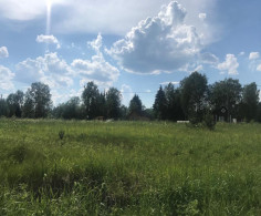 Участок, 173 сотки
