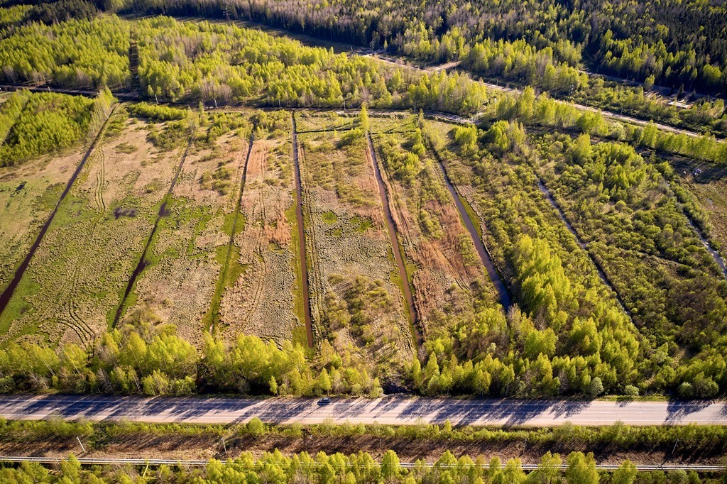 Участок, 930 соток