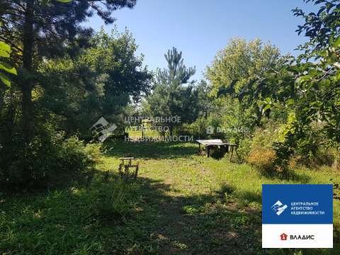 Дом, 1 этаж