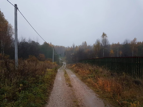 Участок, 50 соток