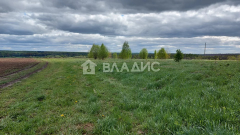 Участок, 50 соток