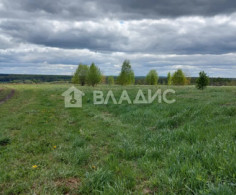 Участок, 50 соток