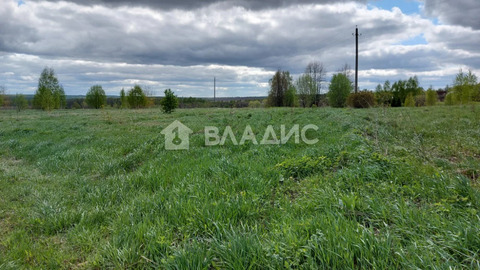 Участок, 50 соток