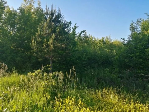 Участок, 6 соток