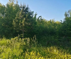 Участок, 6 соток