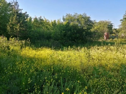 Участок, 6 соток