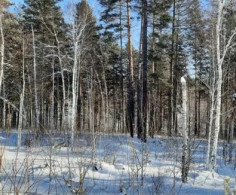 Участок, 17 соток