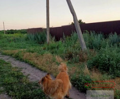 Участок, 13 соток
