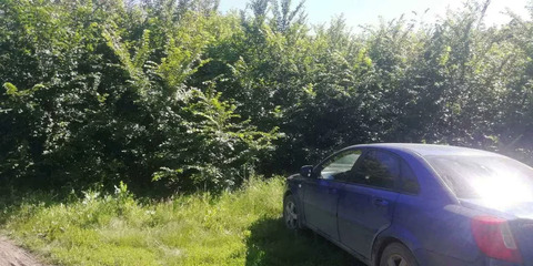 Участок, 7 соток