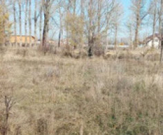 Участок, 6 соток