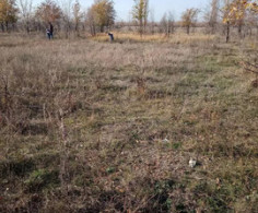Участок, 6 соток