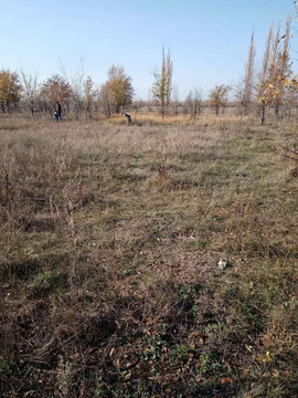 Участок, 6 соток