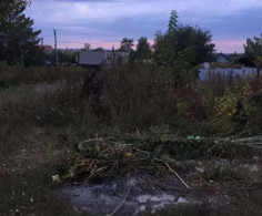 Участок, 5 соток