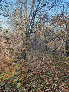 Участок, 13 соток