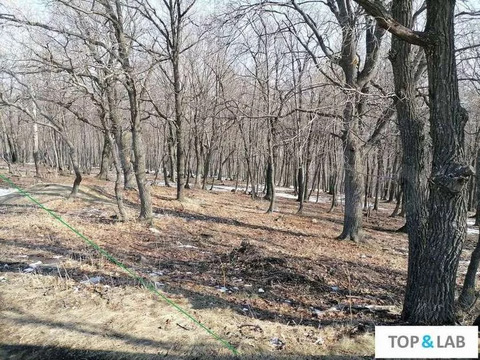 Участок, 10 соток
