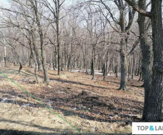Участок, 10 соток