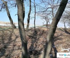 Участок, 10 соток