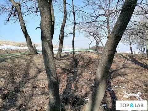 Участок, 10 соток