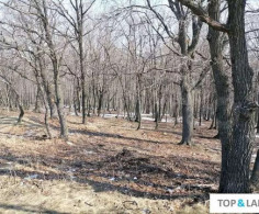 Участок, 10 соток
