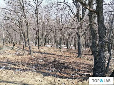 Участок, 10 соток