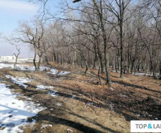 Участок, 10 соток