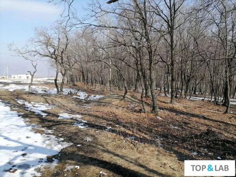 Участок, 10 соток