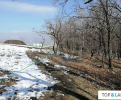 Участок, 10 соток